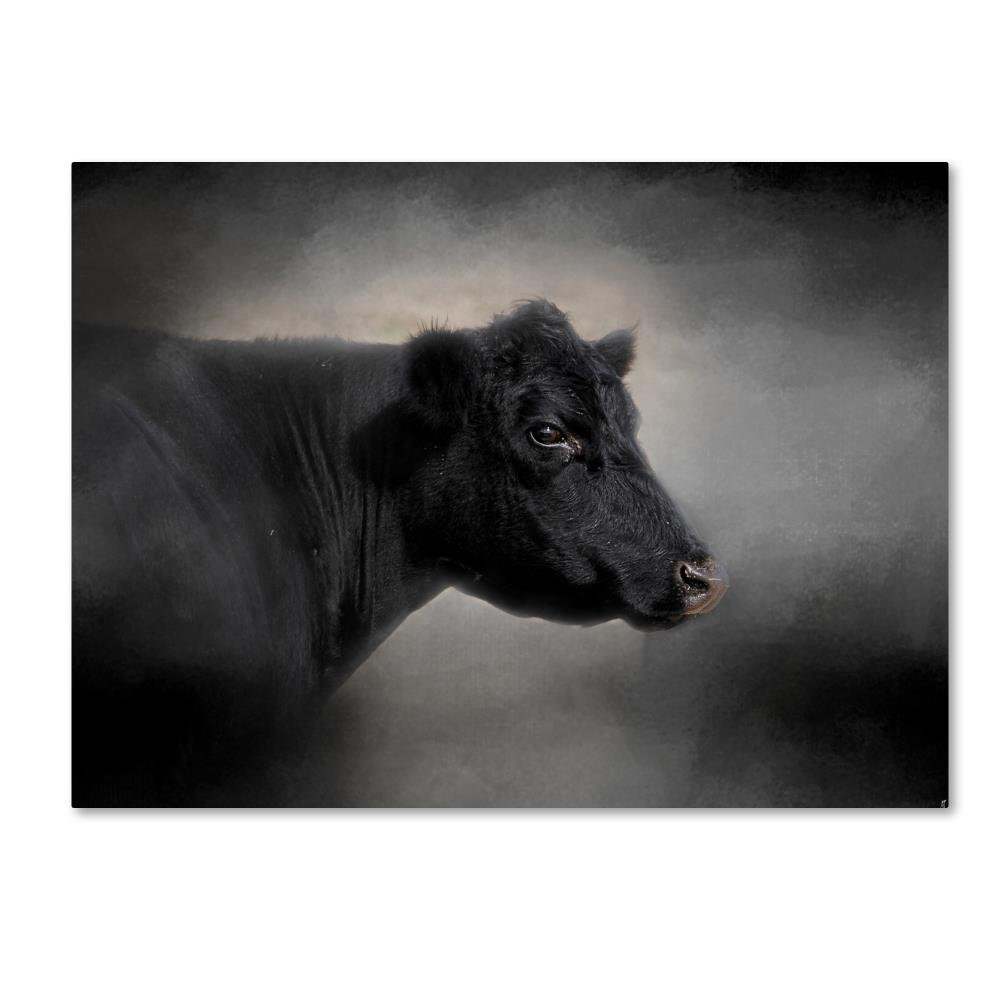 Portrait Of The Black Angus by Jai Johnson, 35x47-Inch Canvas Wall Art