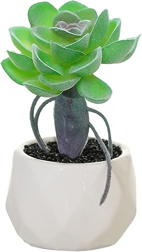 Miniatura 1 de JIMROLA Plantas artificiales y vegetación en 1 macetas de cerámica blanca, pequeñas suculentas falsas para decoración del hogar, dormitorio, sala de