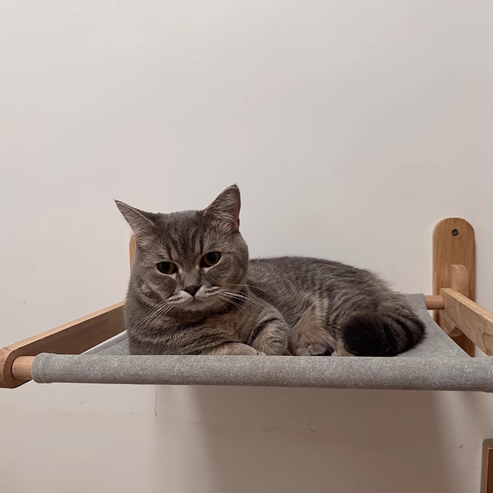 ねこさんラック Amazon.co.jp: 猫 棚、猫ラック - 耐荷重20kg/44ポンドのモジュラー式