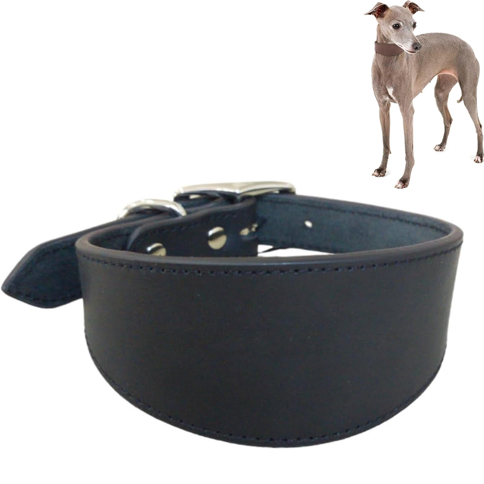 Wide Padded Leather Dog Collar for Italian Greyhound & Whippet, Adjustable Soft Pet Collar with Heavy Duty D-Ring for Daily Walking & Outdoor Use(Black,L)