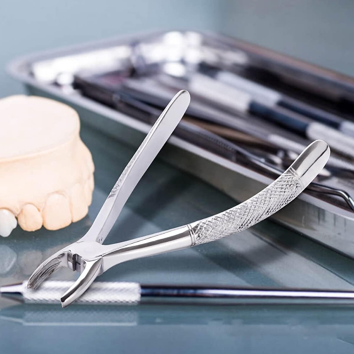 Pinze per Estrazione Denti in Acciaio Inossidabile, 10 Pezzi/Set Pinze per Estrazione Denti Pinze dentali per Dentista con Kit di Strumenti Strumento per Estrazione chirurgica Dentale