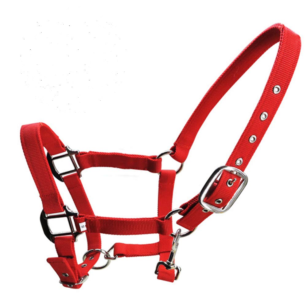 Licol en nylon rembourré pour cheval avec nez réglable et boucle de fermeture Rouge Taille L