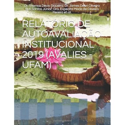 RELAT&Oacute;RIO DE AUTOAVALIA&Ccedil;&Atilde;O INSTITUCIONAL 2019