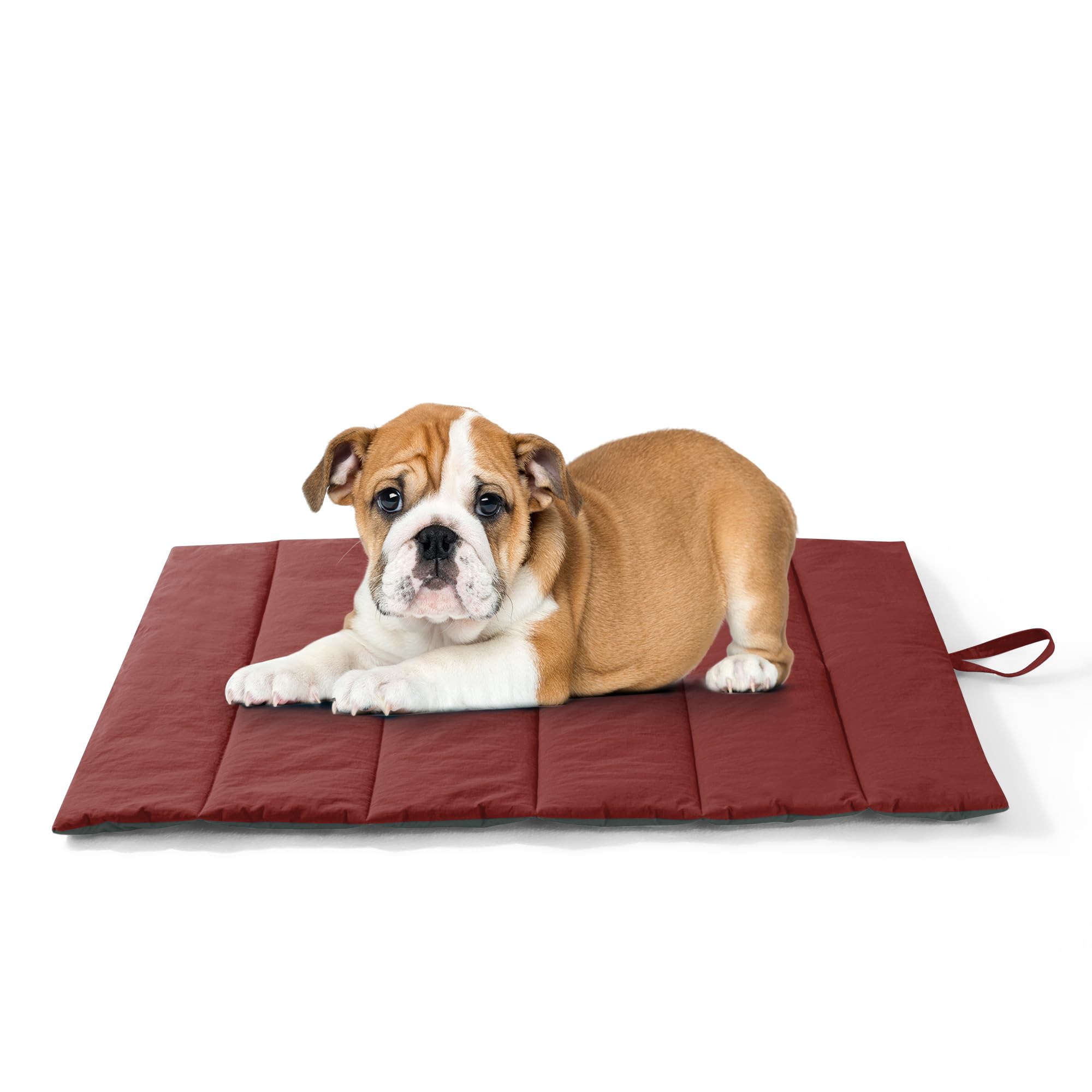 UNIKOME Cuccia Cane Grande per Interno e Esterno, Cuscino Cane Impermeabile, Facile da Lavare, Pieghevole, Resistente Materassino Cani/Gatto/Pet per Viaggi All'aperto (Rosso+Verde, 76x48cm)