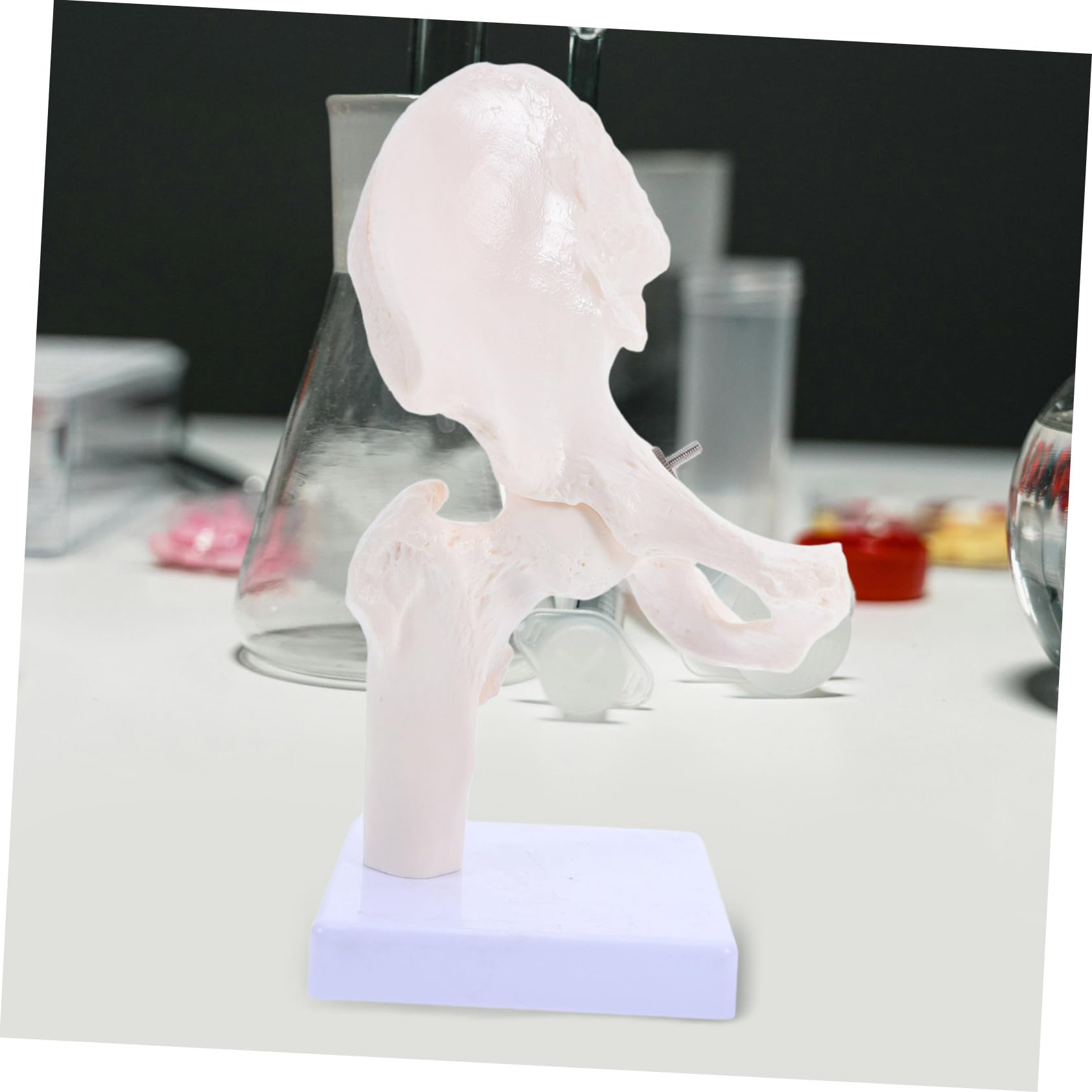ABOOFAN Modèle Squelette Humain Articulation Anatomie Outil Étude Osseux Démonstration Laboratoire Éducatif