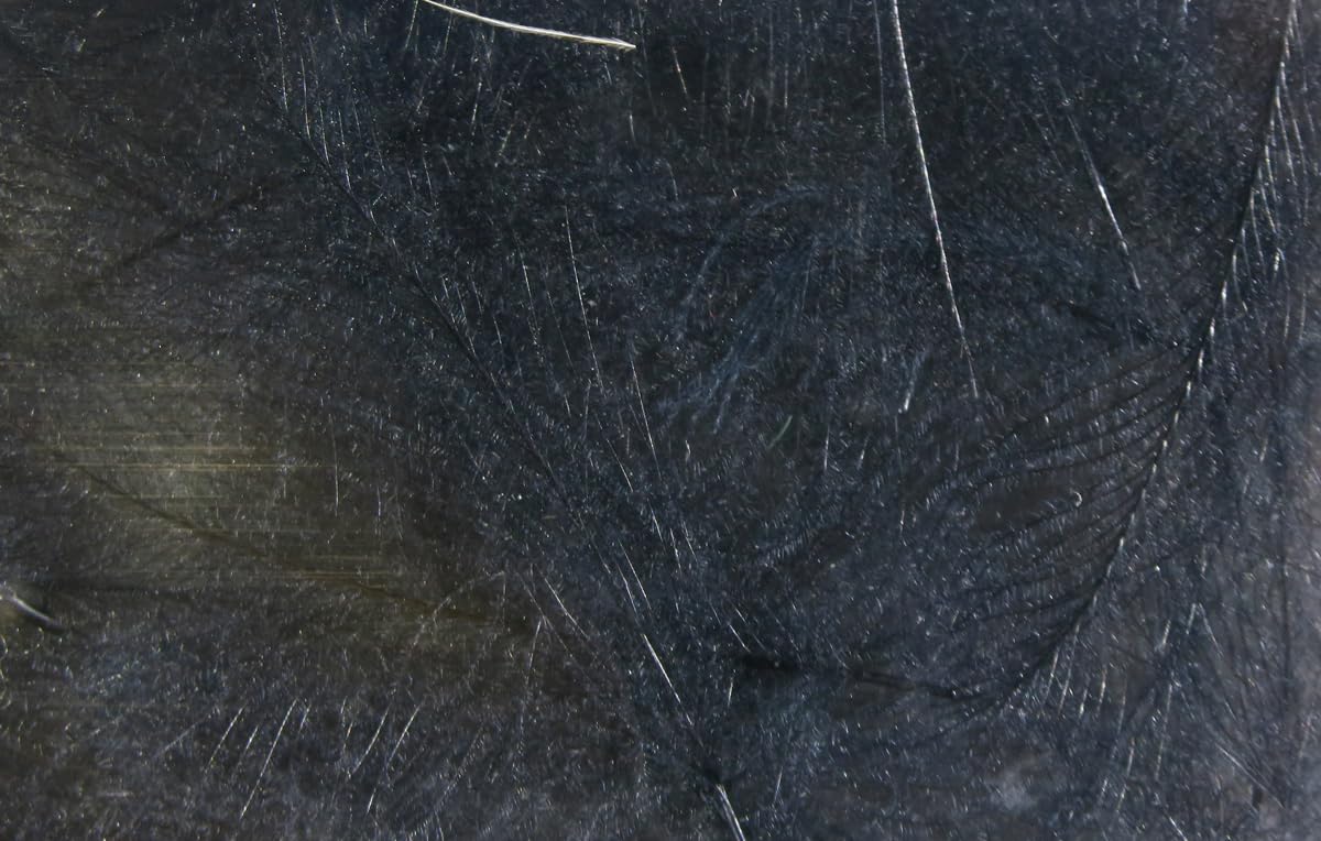 Hareline Fly Tying Cul de Canard (CDC) – Natural CDC Feathers for Fly Tying Dry Flies, Emergers & Comparaduns (Black)