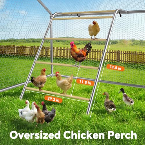 Image of 19.7x9.7 FT Extra Large Metal Chicken Coop, Walk-in Poultry Run