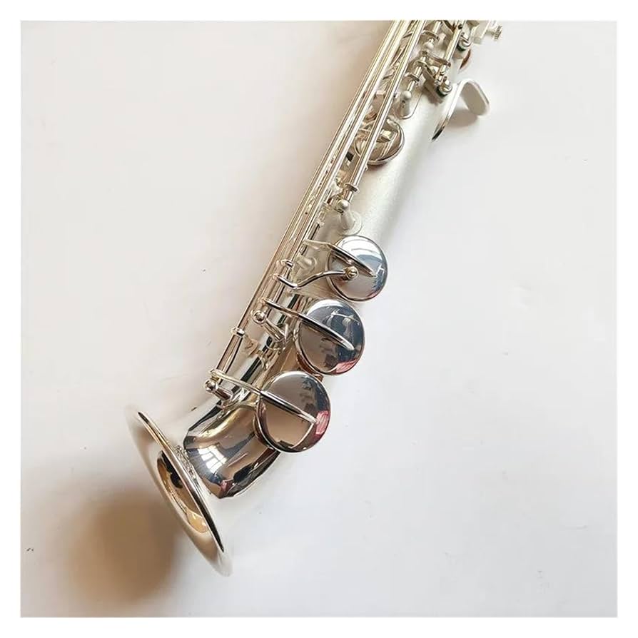 Amazon.co.jp: サックス ソプラノサックス シルバーリング B