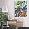 Product Photo 4