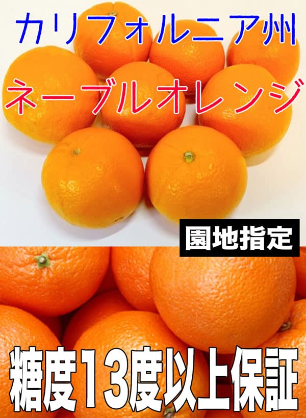 Amazon.co.jp: 高糖度 ネーブルオレンジ 5kg 22玉前後 園地指定 糖度