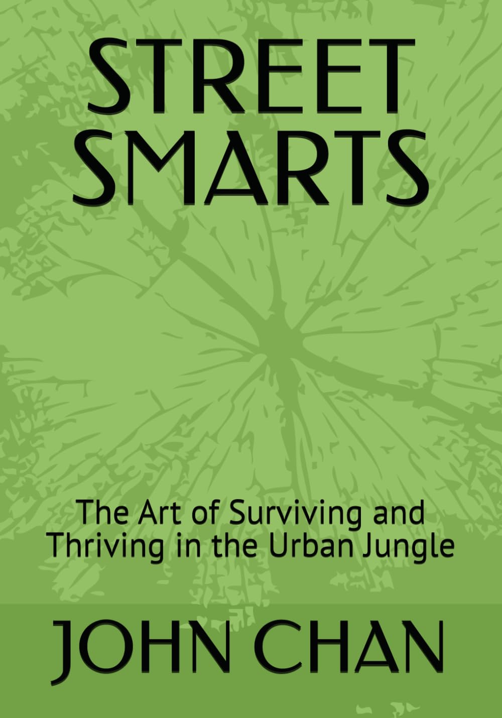 STREET SMARTS: The Art of Surviving and Thriving in the Urban Jungle