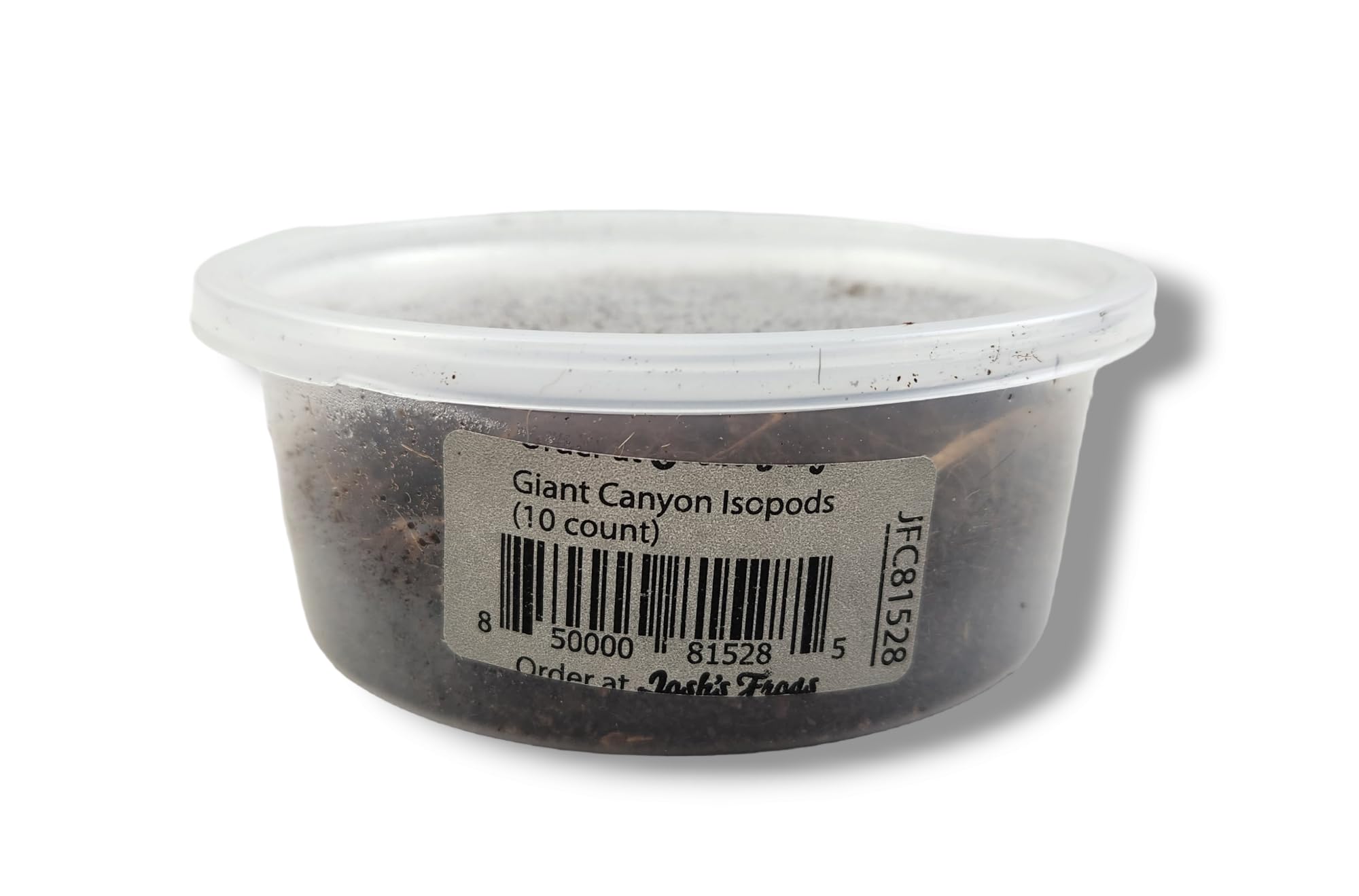 Josh's Frogs Porcellio dilatatus 'Giant Canyon' Isopods (10 Count)