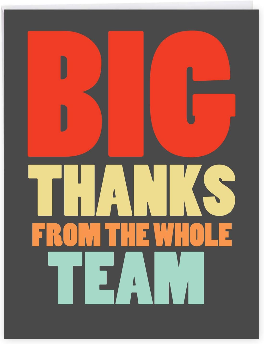 Big Dot Of Happiness A Very Big Thank You - Gratitude Giant Greeting Card   Big Shaped Jumborific Card   165 X 22 Inches 181323364049682471 - View #11