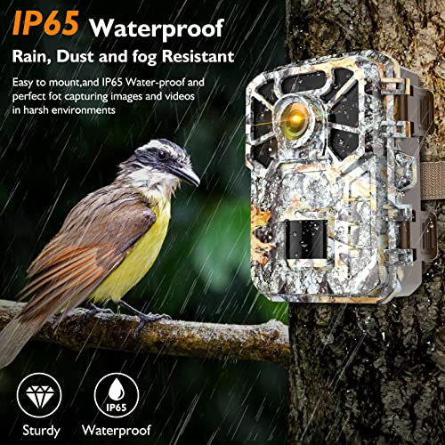 Hawkray Trail Camera-30Mp 2K，Game Camera With Night Vision 0.2S Trigger Time Motion Activated 120°Wide Camera Lens, Ip65 Hunting Camera With 34Pcs Infrared Led For Wildlife Monitoring #TOP5