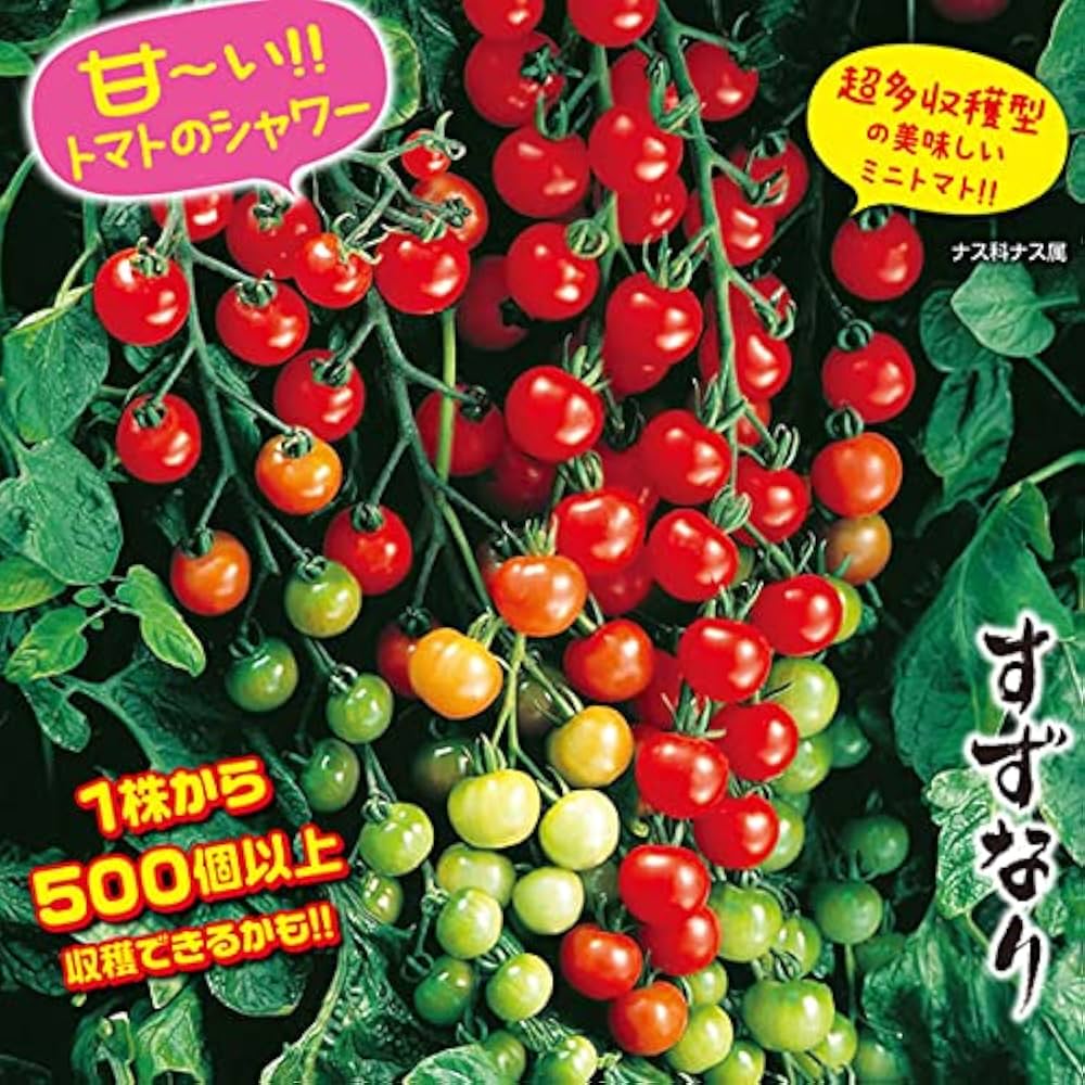 Amazon.co.jp: ミニトマト苗 実割れしにくい