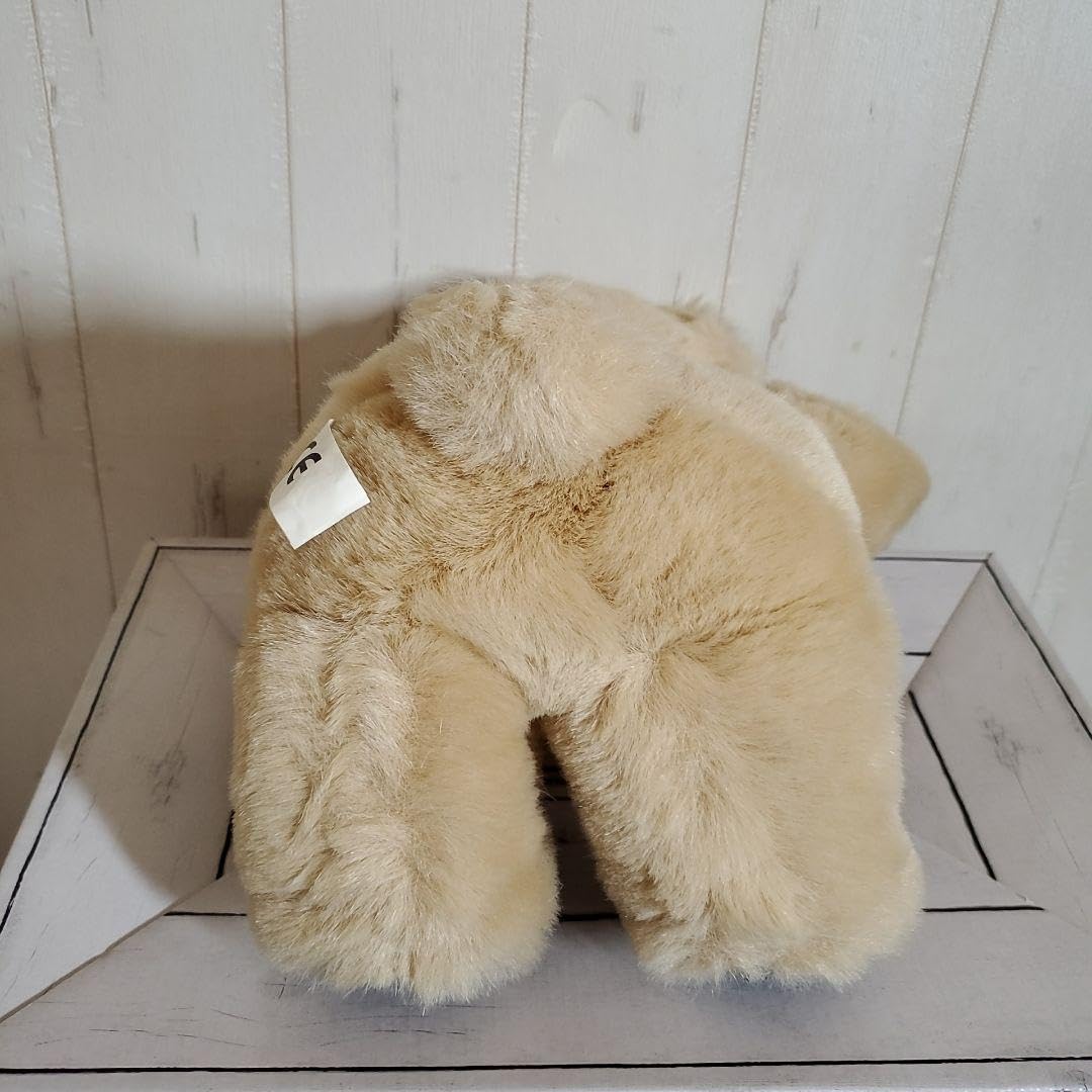 TCC CONTINUITY HOLDINGS N.V　テディベア大2　小1 Amazon.co.jp: 【 TCC CONTINUITY HOLDINGS 】 テディベア親子