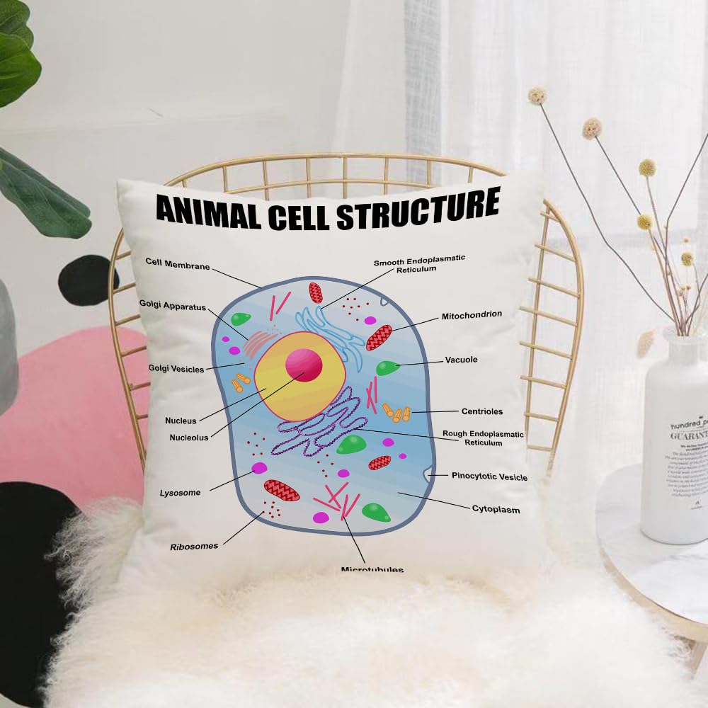 HYOSXW Cushion Cover,Throw Pillow Case Home Decorative for Living Room Bedroom Sofa Chair 16X16 Inch,Educational, Microbiology Theme Animal cell structure,Pillowcase 40X40cm