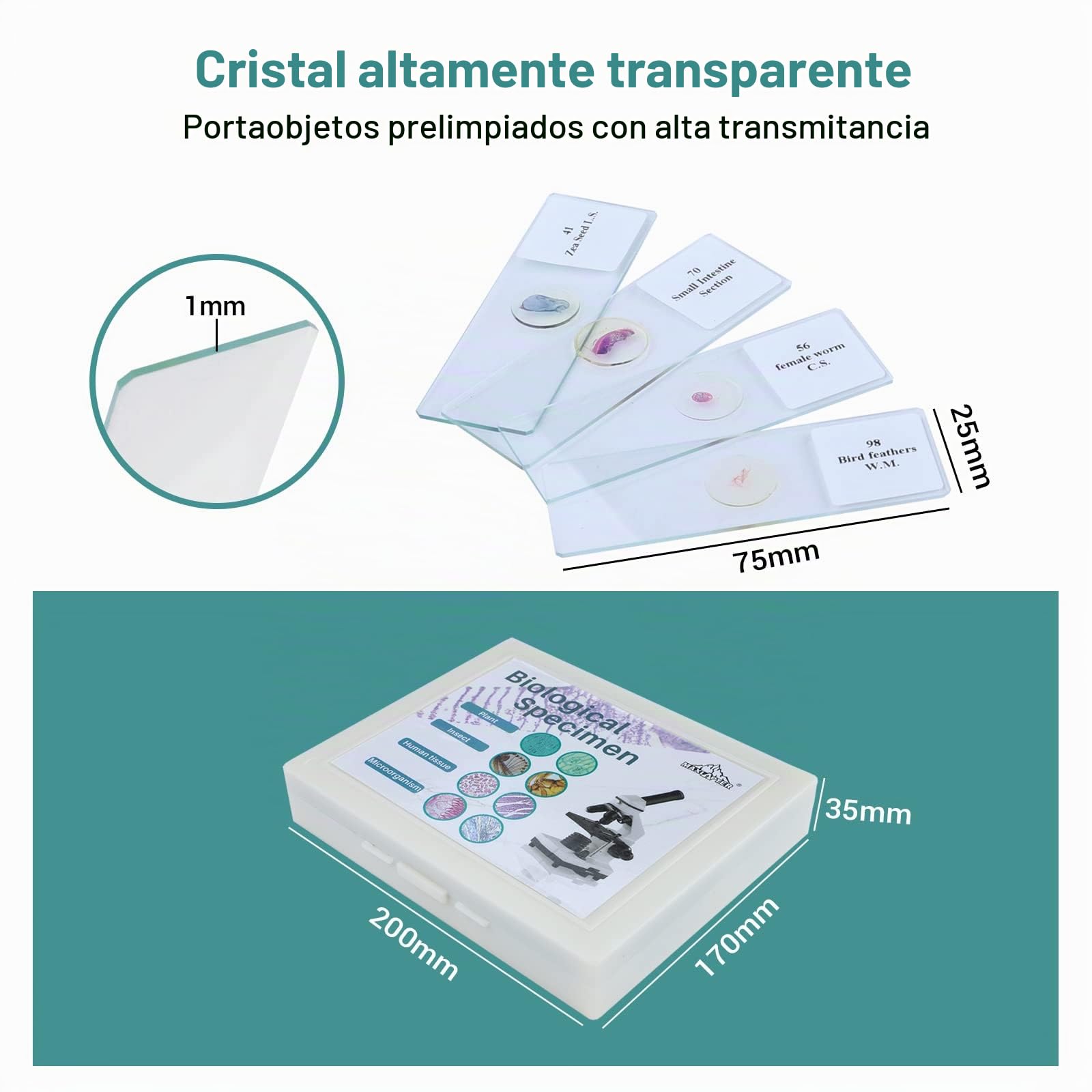 100 Muestras Microscopio Preparadas para Niños, Portaobjetos Microscopio con Plantas Animales Insectos Humana Cellular para Adultos Niños Estudiantes, Uso Escolar en Casa