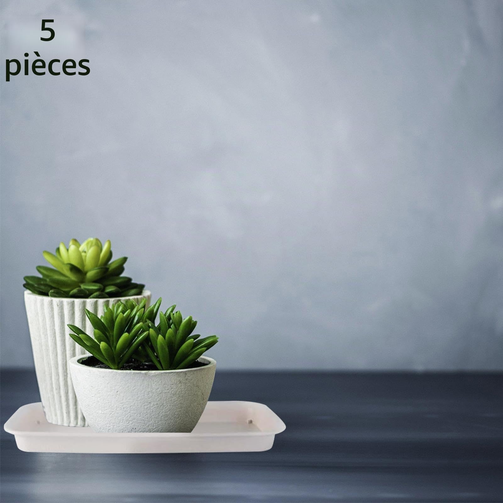 5X Soucoupes pour Plantes, Plateaux de Jardinières Rectangulaires, Soucoupe pour Pot de Fleurs en Plastique pour Cour, Jardin, Intérieur et Extérieures, 48 cm x 19 cm, Blanc