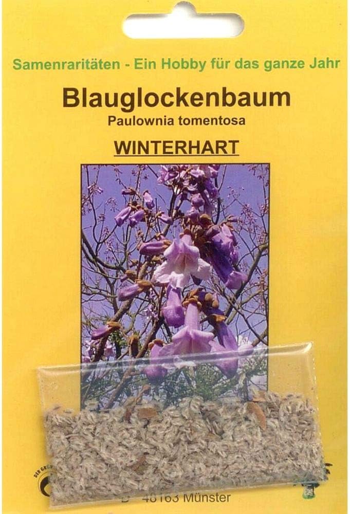 Tropica Pawlonia Tree Paulownia Tomentosa 200 Seeds