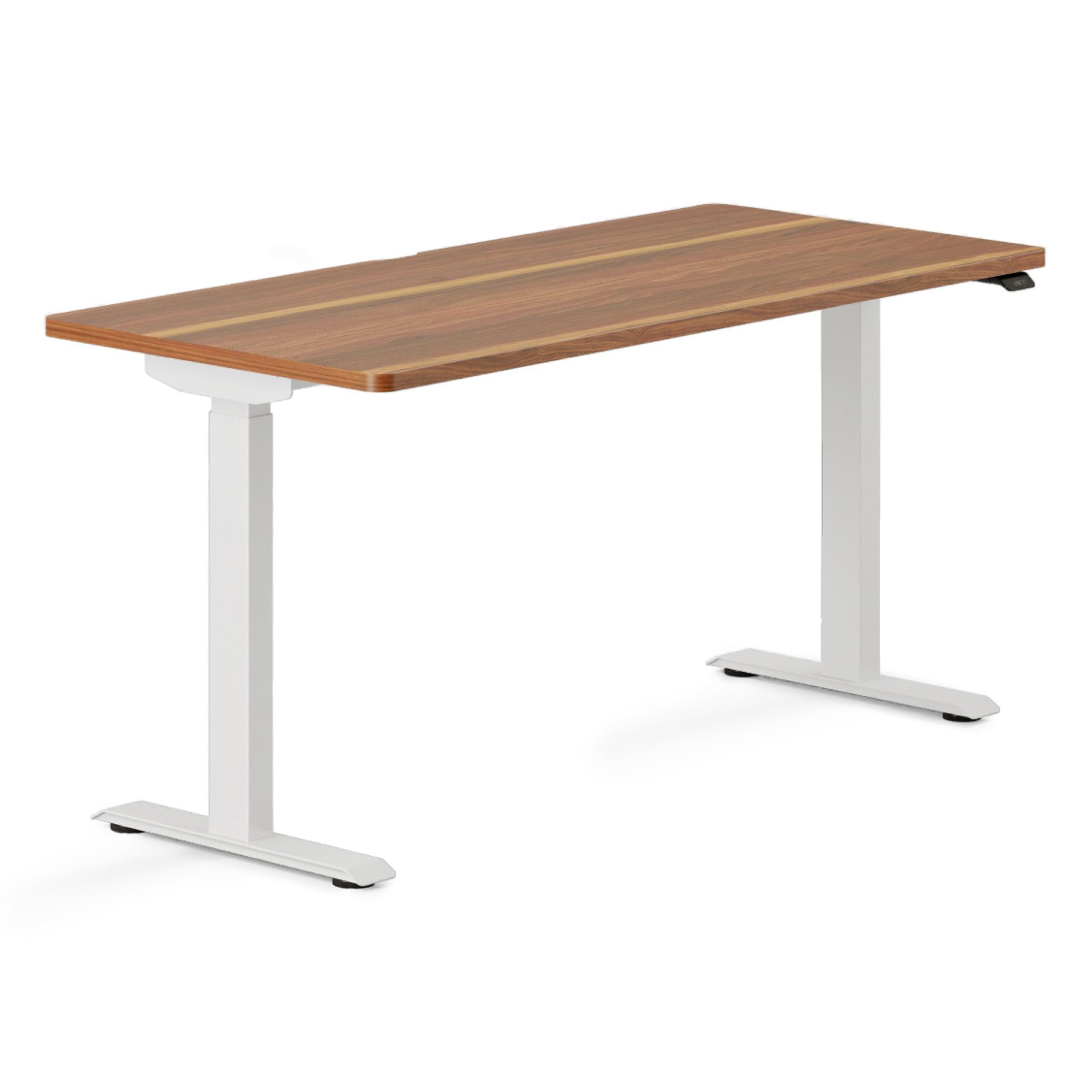 Branch Duo Standing Desk