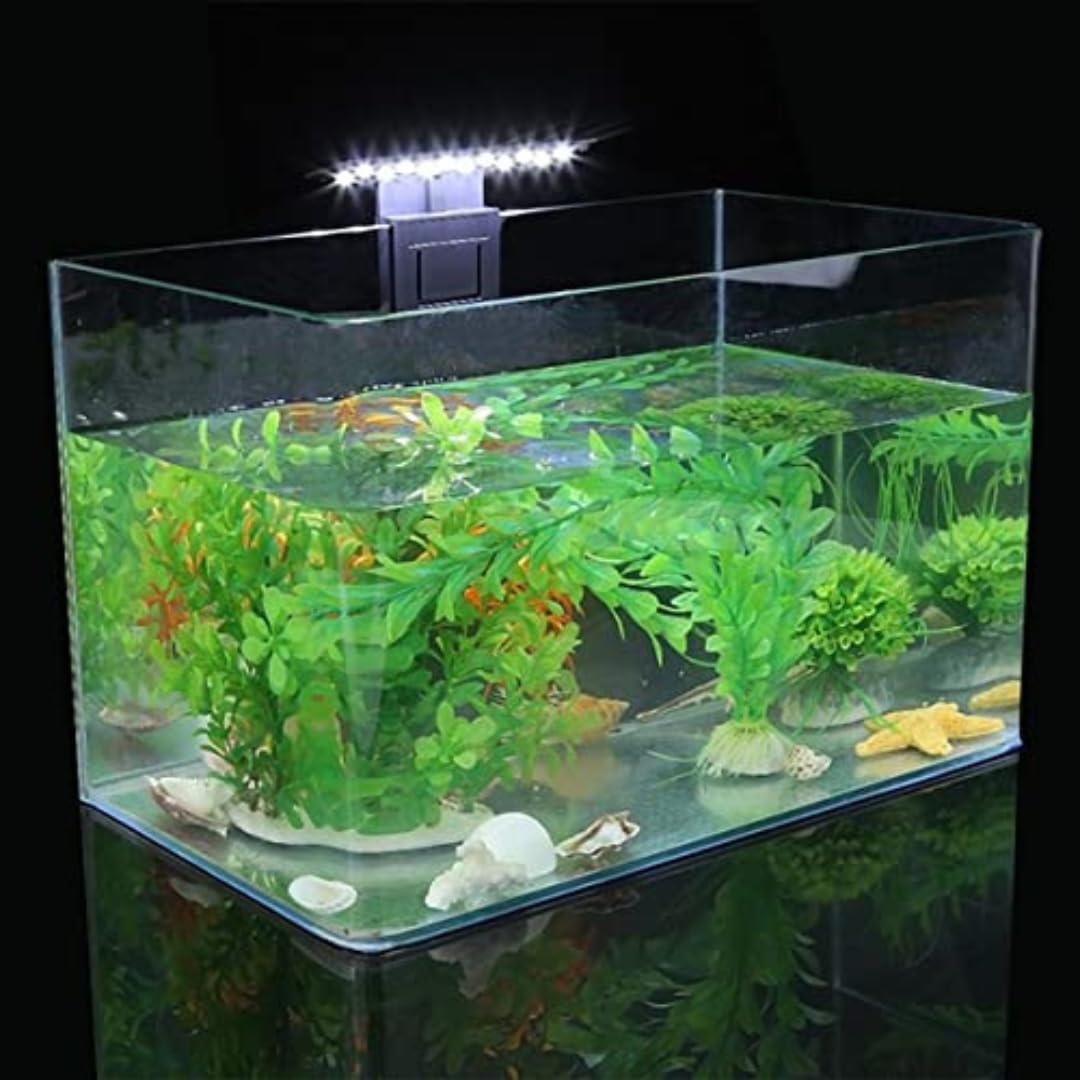 New yr sale KSH-Retailer Aquarium Fish Tank Mild 6W 12 LED Aquarium Planted Clip Lamp White LED Lighting Tremendous Slim LED Aquarium Mild(Fits Upto 2FT Tank) Crops Develop Lighting Artistic Clip- Lamp (X3) New yr sale KSH-Retailer Aquarium Fish Tank Mild 6W 12 LED Aquarium Planted Clip Lamp White LED Lighting Tremendous Slim LED Aquarium Mild(Fits Upto 2FT Tank) Crops Develop Lighting Artistic Clip- Lamp (X3)