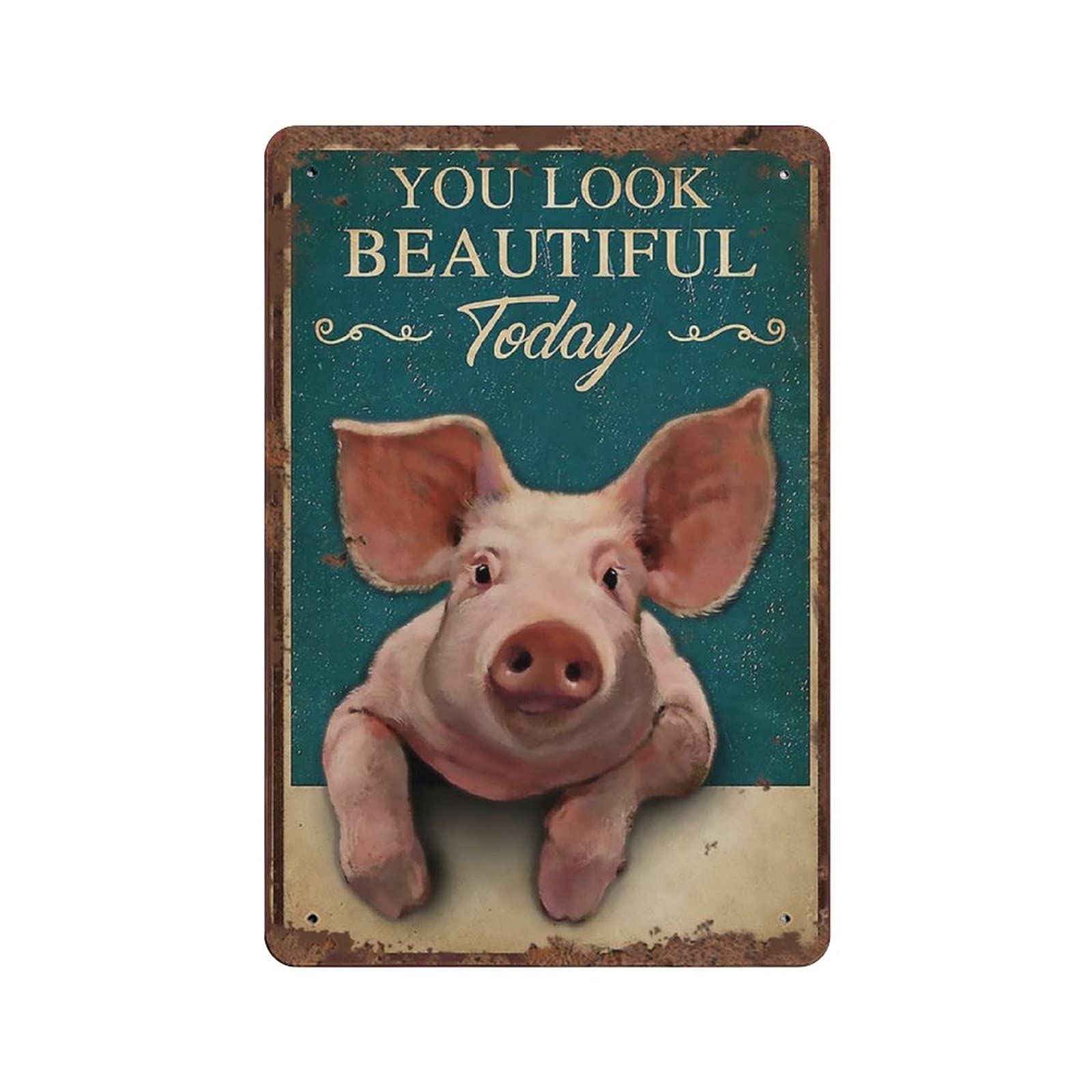 Dreacoss Fun Tin Sign 11 Retro Pig You Look Beautiful Today Vintage Tin Sign Pig Lover Gift Animal Lovers Gift New Tin Sign Aluminum Retro Metal Sign Wall Sign Plaque Poster For Home Bathroom Cafe Bar Pub 12X8 Inch