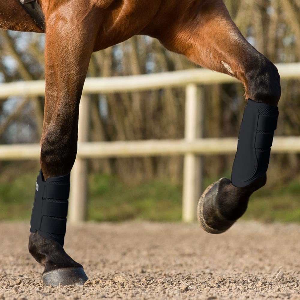 HORZE Impact Dressur Fesselkopfgamaschen, Schwarz, L
