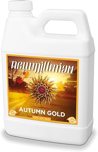 New Millennium Cuarto de Oro Otoño (1)