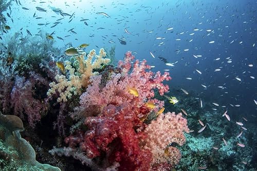 Posterazzi PSTBRP400644U Obra de arte, pequeña, multicolor