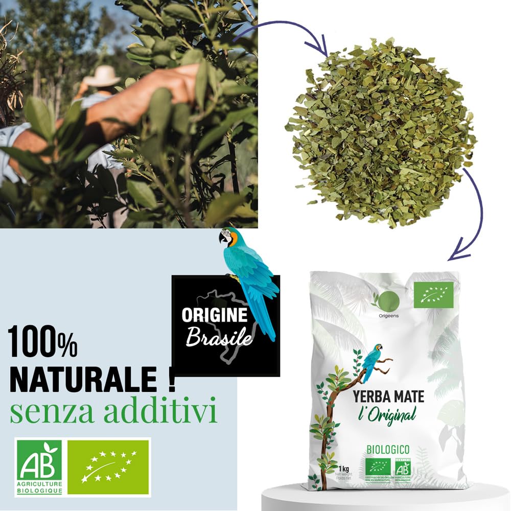 ORIGEENS YERBA MATE BIO 1KG LOriginale - Yerba Mate Bio Non tostata, Raccolto a mano - Foglie, senza gambi e 0 polvere - Bevanda Energetica e Detox