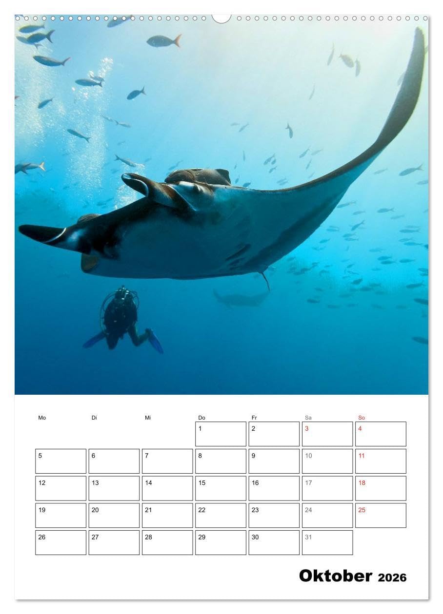 Tauchen - Abtauchen und Staunen (hochwertiger Premium Wandkalender 2026 DIN A2 hoch), Kunstdruck in Hochglanz: Abtauchen in die faszinierende Unterwasserwelt unserer Meere