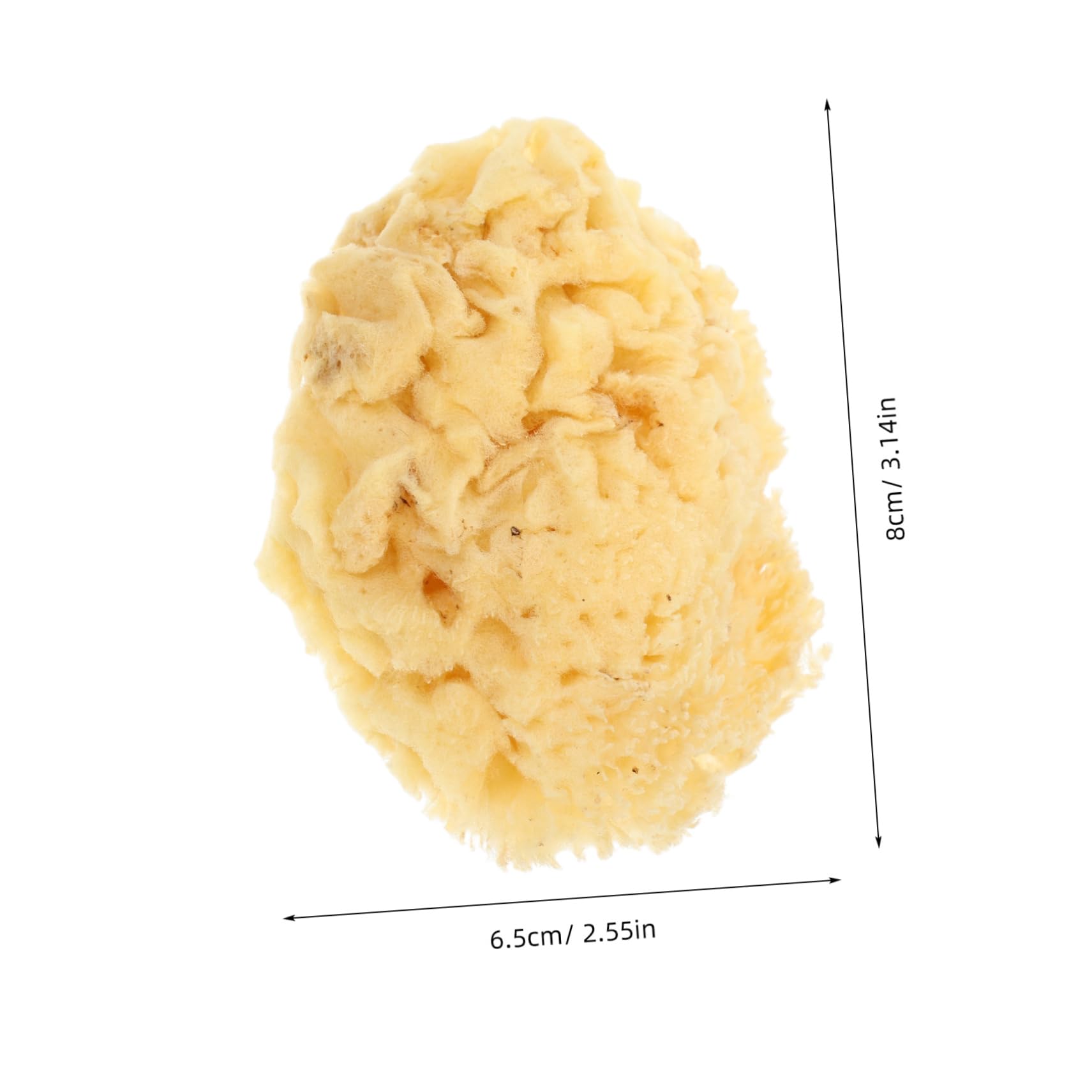 DOITOOL Natural Sea Sponge for Soft High Water Absorption Tool for Watercolor Painting and DIY Crafts Reusable Easy to Clean for Artists and Creative Projects