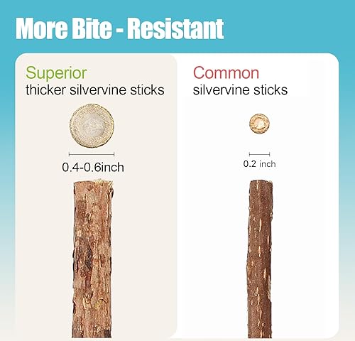 Miniatura 4 de Silvervine - Varillas para gatos, palitos naturales de hierba gatera Matatabi masticar dientes molar juguetes para gatos gatitos (15 piezas)
