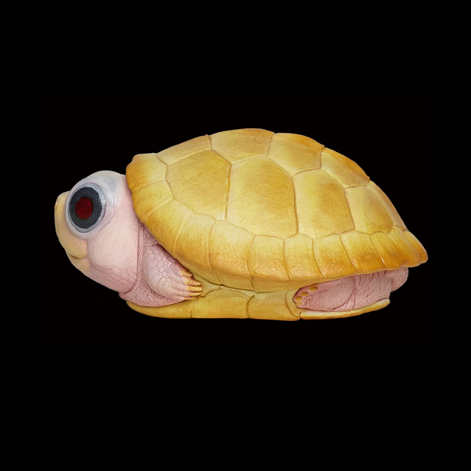 KAME HOUSE　幻獣の亀　フィギュア　完成品　22㎝　ガメラ KAME HOUSE 幻獣の亀 フィギュア 完成品 22㎝ ガメラ - メルカリ