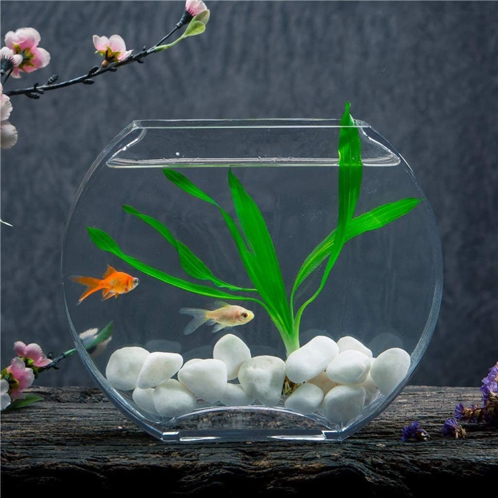 HASMI Pecera de Escritorio Pecera de Cristal Creativa, Tanque de Peces Dorados, Plano, Redondo, pequeño y Mediano, para Sala de Estar, Oficina, Acuario de Escritorio Decoración Pecera
