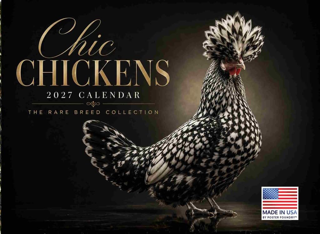 Chic Chicken Calendar 2027 Wall Monthly Beautiful Exotic Breeds Calender 12 Month | American Made In The USA