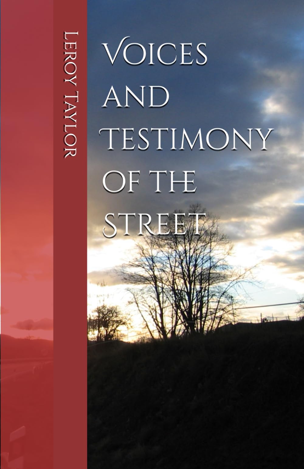 Voices and Testimony of the Street