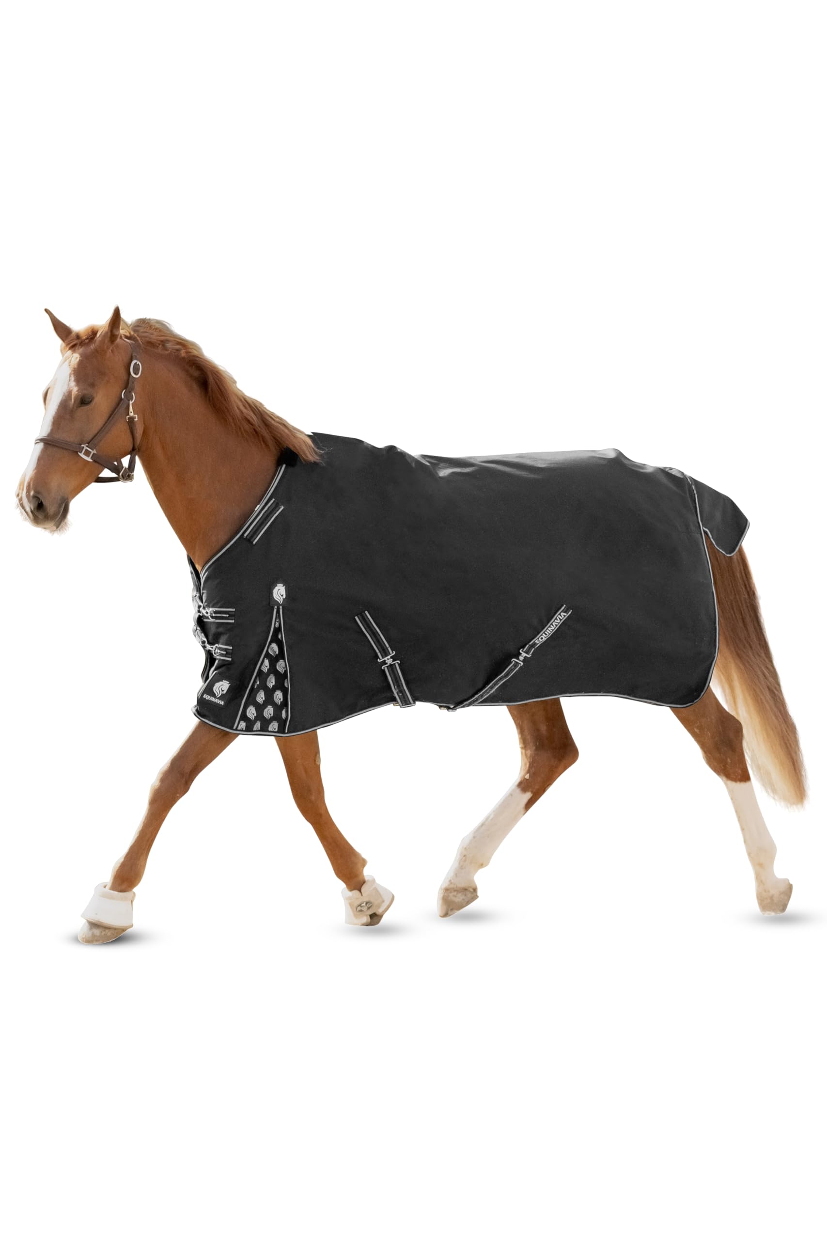 Equinavia Norse No Fill Horse Rain Blanket