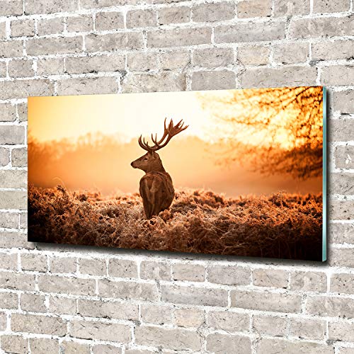 Tableau plexiglas animaux 140x70 cm marron déco cerf - 3