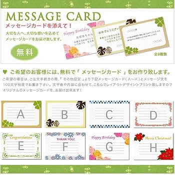 Amazon.co.jp: 絵画 藤谷壮仁郎 光輝く花畑 版画 インテリア : ホビー