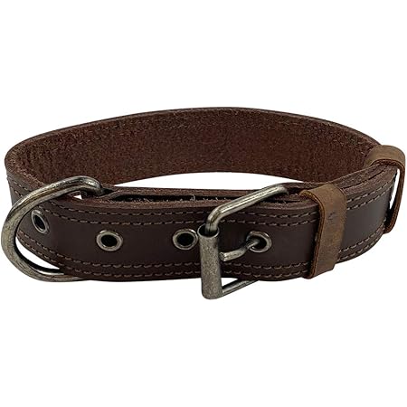 chewy bark collar