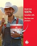 PVL CAN‑WHEY Milkshake Poudre de protéines 100% Lait canadien réel, faible teneur en sucre, 20 g Protéines certifiées par la vache bleue – Vanille classique, 727 g (1.6 lb)