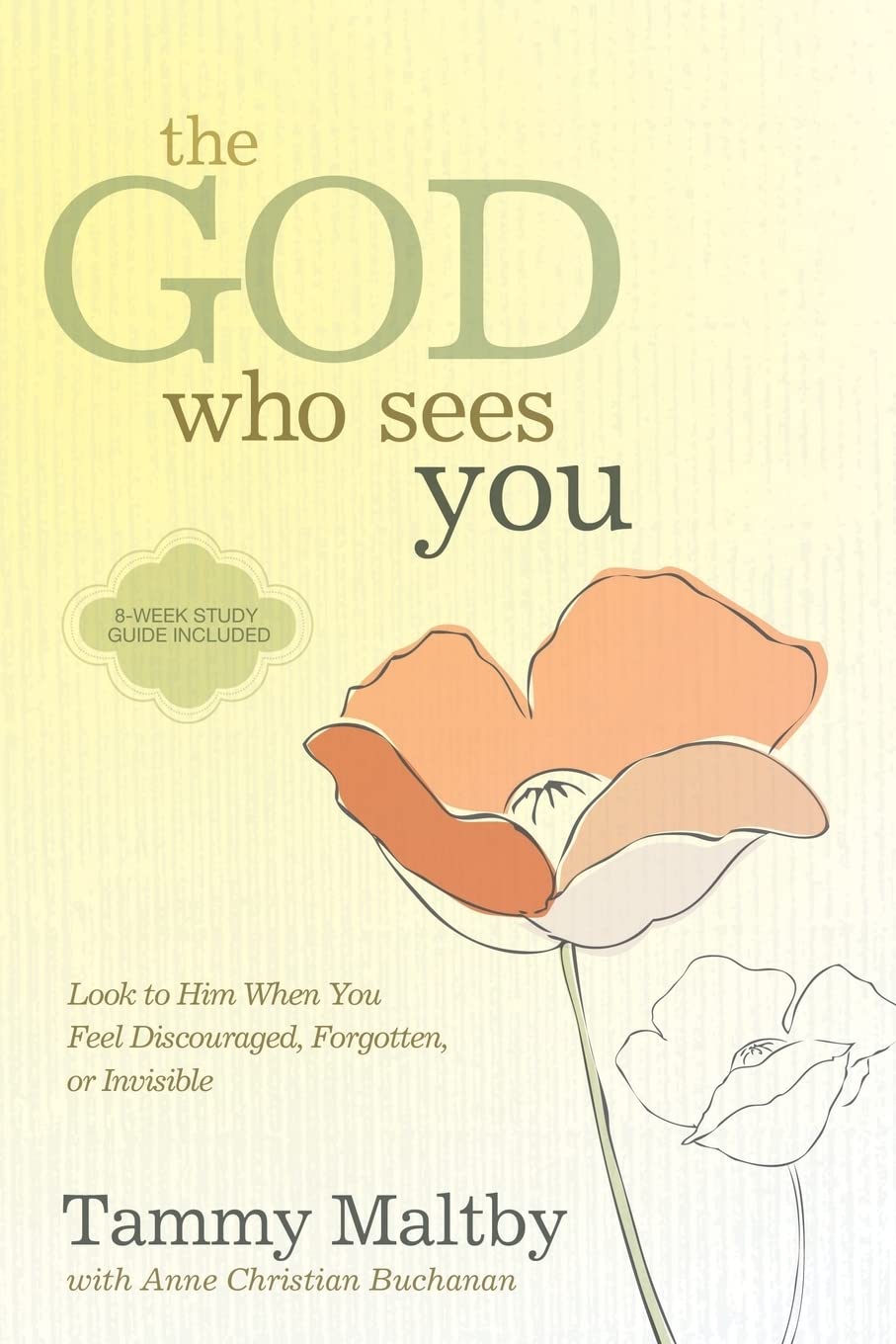 The God Who Sees You: Look to Him When You Feel Discouraged, Forgotten, or Invisible [Paperback] Maltby, Tammy and Buchanan, Anne Christian