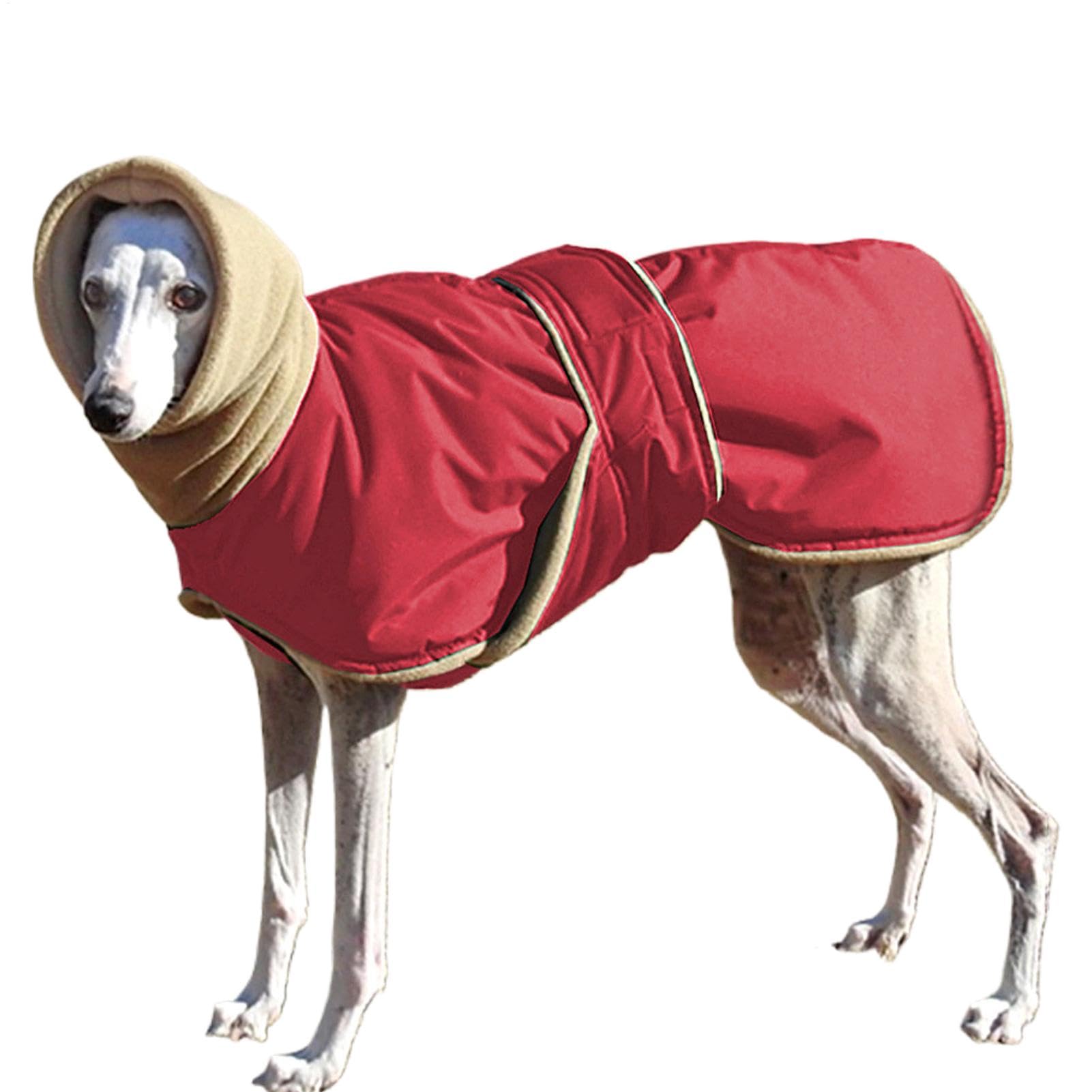 Pull à col roulé pour chien en textile thermique premium