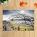 Produktbild JHDF Naturlandschaft Bad Teppiche Frühling Kirschblüten Mit Holzbrücke in Foggy Mountain rutschfeste Fußmatte Badematte 40 * 60 cm Bad-Accessoires