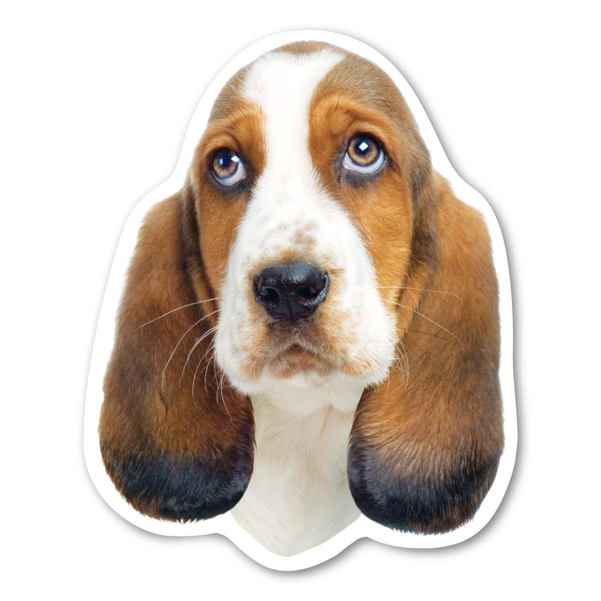 Famous Basset Hounds In Movies