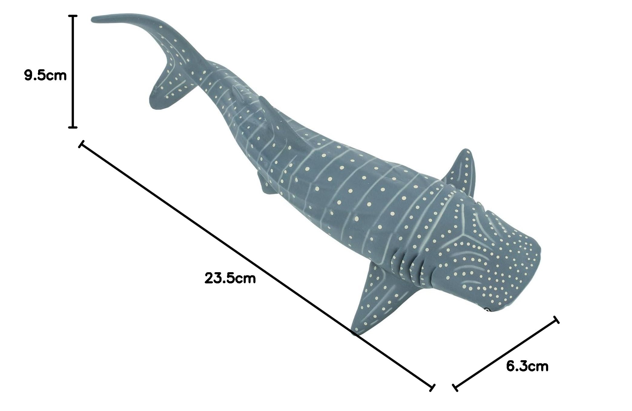 Amazon.co.jp: サファリ レプリカ ジンベエザメ : おもちゃ