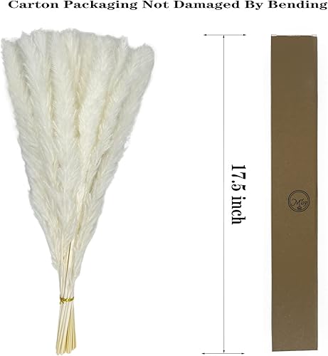 Miniatura 2 de 60 tallos de hierba de las pampas de 17.5 pulgadas, flores secas naturales, pequeñas ramas de hierba de la pampa para jarrón, arreglo floral, boda,