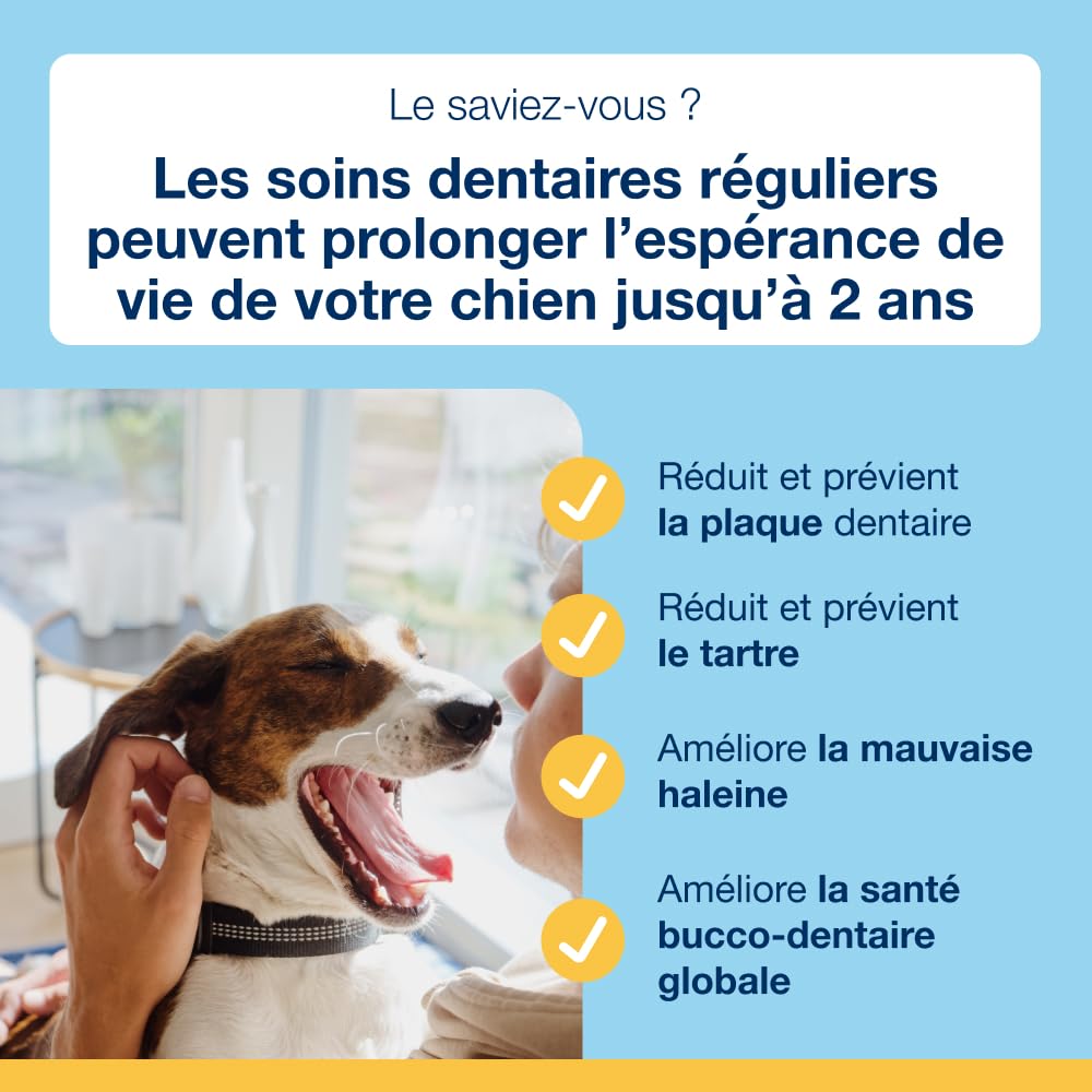 ProDen PlaqueOff Lot Dentaire Chien Poudre 60g et 13 Os à Mâcher au Poulet